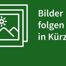 Grünes Platzhalterbild mit weißen Foto-Symbolen und dem Text 'Bilder folgen in Kürze'.