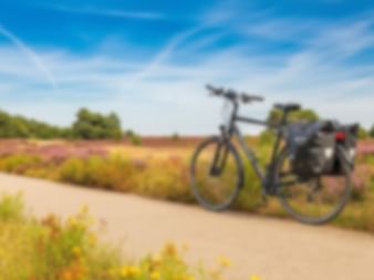 Schwarzes Tourenrad mit Packtaschen auf Feldweg neben buntem Wildblumenfeld unter blauem Himmel mit weißen Wolken.