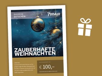 Pedalo Reisegutschein über 100 Euro mit dem Titel 'Zauberhafte Weihnachten' und goldenen Christbaumkugeln an Tannenzweigen vor blauem Hintergrund.