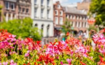 Leuchtend rote und rosa Blumen im Vordergrund mit historischen europäischen Gebäuden und grünen Bäumen im Hintergrund an sonnigem Tag.