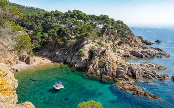 Malerische Bucht in Katalonien mit türkisem Wasser, Felsklippen und kleinem Strand. Weiße Gebäude zwischen Pinien auf dem bewaldeten Hang.