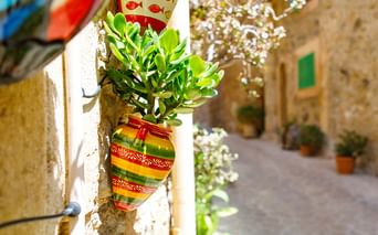 Gestreifter Keramiktopf mit Sukkulente an Steinmauer in sonniger Mallorca-Gasse. Steingebäude und blühende Pflanzen säumen die enge Straße.