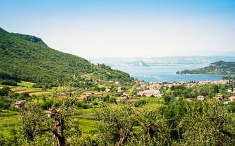 Panoramablick auf den Gardasee mit einem Dorf zwischen grünen Hügeln und Olivenbäumen. Berge sind über dem blauen See unter klarem Himmel sichtbar.