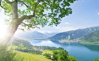 Panoramablick auf einen blauen Alpensee, umgeben von grünen Bergen unter sonnigem Himmel. Ein großer Baum rahmt die Szene im Vordergrund.