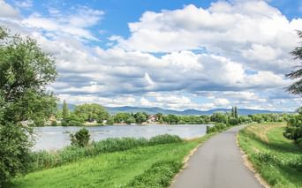 Asphaltierter Radweg entlang des Neckars mit grünen Wiesen, Bäumen und Bergen unter blauem Himmel mit weißen Wolken.