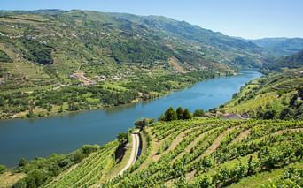 Panoramablick auf das Douro-Tal mit terrassierten Weinbergen an Hängen, dem Douro-Fluss im Tal und Bergen unter blauem Himmel.