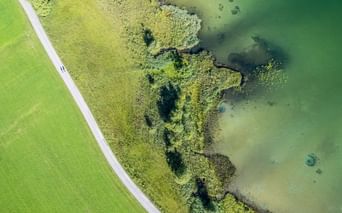 Aerial view of a green lake shore in Carinthia with shallow water, vegetation, and a road along the grassy bank.