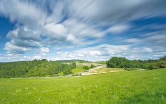 Grüne Wiesen und sanfte Hügel im Moseltal und Hohe Eifel unter blauem Himmel mit weißen Wolken. Eine Straße schlängelt sich durch die Landschaft.
