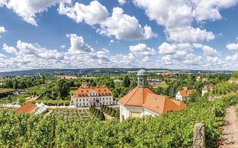 Barockschloss mit orangefarbenem Dach und Kuppel, umgeben von grünen Weinbergen. Weite Landschaft mit Wäldern und Dörfern unter blauem Himmel.