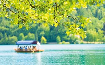 Touristenboot auf türkisfarbenem See in Slowenien, eingerahmt von hellgrünen Eichenblättern. Bewaldete Hügel im Hintergrund.