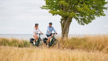 Two cyclists with helmets pause beside a large tree in a golden grain field. The Danish coast is visible in the background under a cloudy sky.