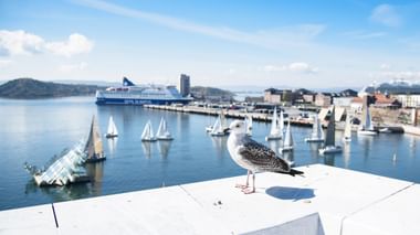 Möwe auf weißem Geländer mit Blick auf norwegischen Hafen mit Segelbooten, Fähre und Küstengebäuden unter blauem Himmel.