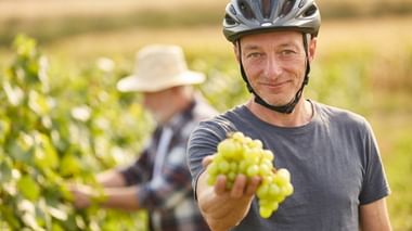 Lächelnder Radfahrer mit Helm hält weiße Trauben in einem Weinberg. Im unscharfen Hintergrund ist eine Person mit Sonnenhut zwischen Reben sichtbar.