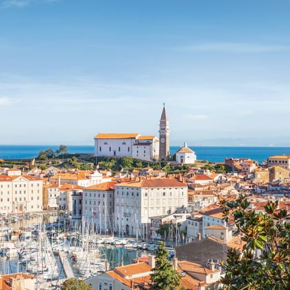 Panoramic view of a historic coastal town with orange-tiled roofs, a marina with sailboats, and a church tower overlooking the Adriatic Sea.