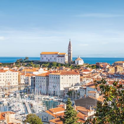 Panoramablick auf eine slowenische Küstenstadt mit orangefarbenen Dächern, einem Yachthafen voller Boote und einem Kirchturm auf einem Hügel.