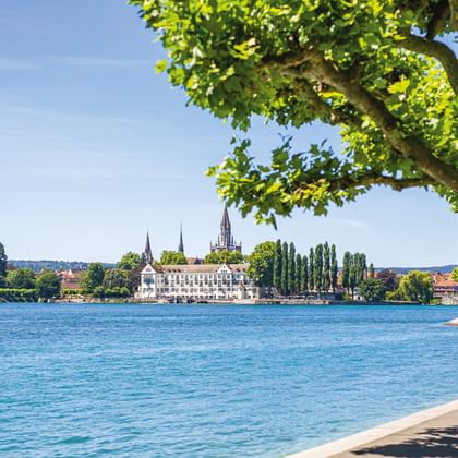 Sonnige Uferpromenade am Bodensee mit blauem Wasser, von Bäumen gesäumtem Weg und historischen Gebäuden am gegenüberliegenden Ufer.