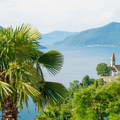Malerischer Blick auf den Lago Maggiore mit Palmen im Vordergrund, Seeufer-Dorf mit Kirchturm und Bergen im Hintergrund unter bewölktem Himmel.