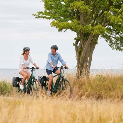 Two cyclists with helmets pause beside a large tree in a golden grain field. The Danish coast is visible in the background under a cloudy sky.