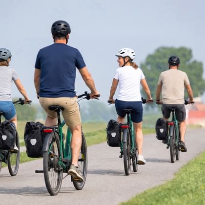 Vier Radfahrer mit Packtaschen auf einem asphaltierten Radweg durch die flache friesische Landschaft mit grünen Feldern und Bäumen.