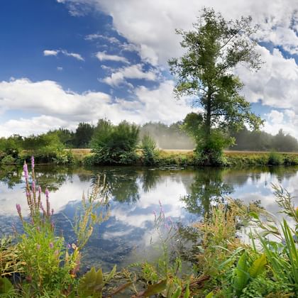 Calm lake with mirror-like reflections of clouds and trees in Altmühltal Nature Park. Green vegetation frames the water under a blue sky.