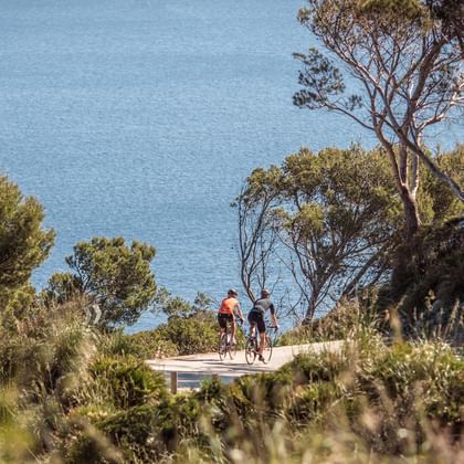 Two cyclists riding on a coastal road in Mallorca, surrounded by Mediterranean vegetation with blue sea in the background.