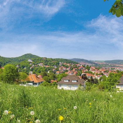 Blick auf eine thüringische Stadt in grünen Hügeln mit einer Burg auf dem Hügel. Im Vordergrund eine Wildblumenwiese mit Löwenzahn.