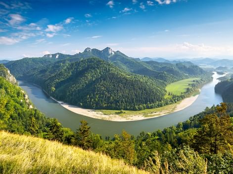 Luftaufnahme des Dunajec-Flusses, der eine dramatische Hufeisenbiegung durch bewaldete Berge mit Felsgipfeln unter blauem Himmel bildet.