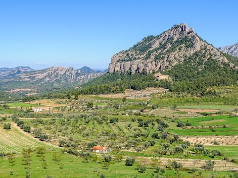 Grünes Agrartal mit verstreuten Bäumen und Bauernhäusern unterhalb eines markanten felsigen Berggipfels in Aragon, Katalonien unter klarem Himmel.