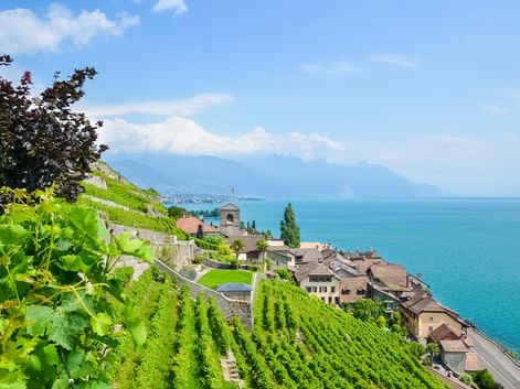 Terrassierte Weinberge am Hang mit Blick auf den Genfersee, Dorfhäuser unten und Bergen in der Ferne unter blauem Himmel.