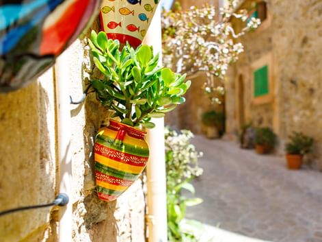 Gestreifter Keramiktopf mit Sukkulente an Steinmauer in sonniger Mallorca-Gasse. Steingebäude und blühende Pflanzen säumen die enge Straße.