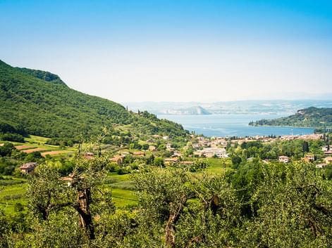 Panoramablick auf den Gardasee mit einem Dorf zwischen grünen Hügeln und Olivenbäumen. Berge sind über dem blauen See unter klarem Himmel sichtbar.