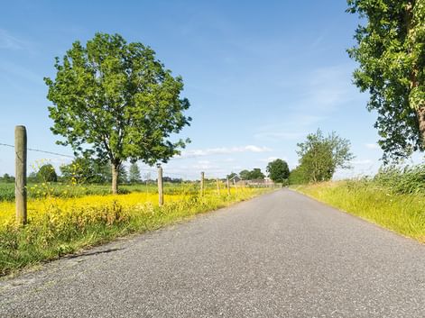 Leere Asphaltstraße durch flandrische Landschaft mit gelben Rapsfeldern, Holzzaunpfählen und grünen Bäumen unter blauem Himmel.