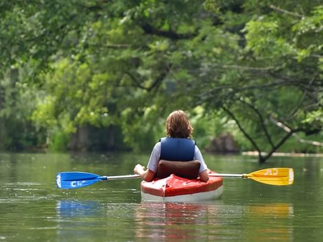 Person in blue vest kayaking on calm green lake in Masuren. Red and white kayak with blue and yellow paddle. Dense green trees line the shore.