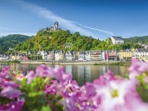 Stadt Cochem mit bunten Häusern entlang der Mosel, Reichsburg auf bewaldetem Hügel darüber, rosa Blumen im Vordergrund unter blauem Himmel.