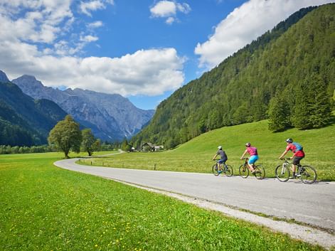 Drei Radfahrer auf einer asphaltierten Straße durch ein grünes Tal in Slowenien, umgeben von bewaldeten Bergen und Alpengipfeln unter blauem Himmel.