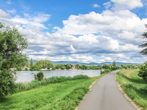 Asphaltierter Radweg entlang des Neckars mit grünen Wiesen, Bäumen und Bergen unter blauem Himmel mit weißen Wolken.