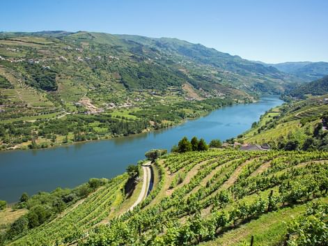 Panoramablick auf das Douro-Tal mit terrassierten Weinbergen an Hängen, dem Douro-Fluss im Tal und Bergen unter blauem Himmel.