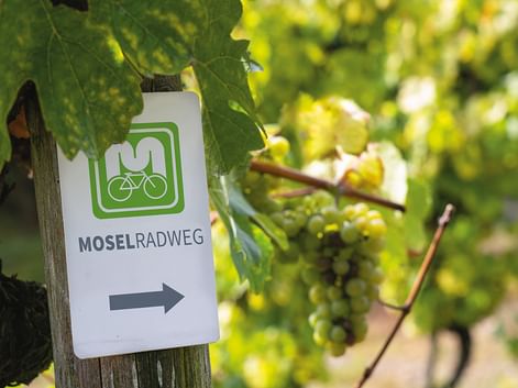 Weißes Wegweiserschild mit der Aufschrift 'MOSELRADWEG' und grünem Fahrradlogo an Holzpfosten im Weinberg mit grünen Weintrauben.