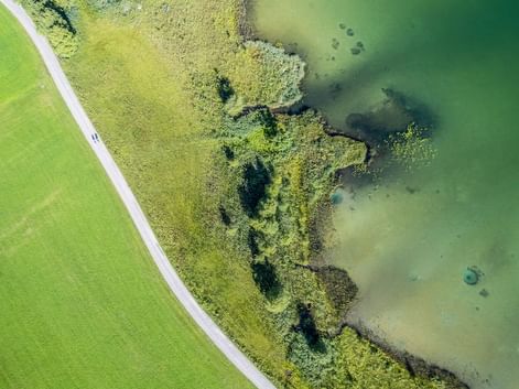 Aerial view of a green lake shore in Carinthia with shallow water, vegetation, and a road along the grassy bank.
