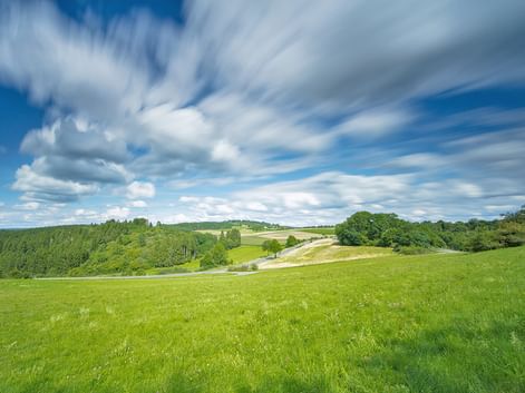 Grüne Wiesen und sanfte Hügel im Moseltal und Hohe Eifel unter blauem Himmel mit weißen Wolken. Eine Straße schlängelt sich durch die Landschaft.