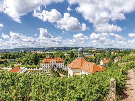 Barockschloss mit orangefarbenem Dach und Kuppel, umgeben von grünen Weinbergen. Weite Landschaft mit Wäldern und Dörfern unter blauem Himmel.