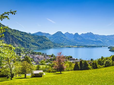 Green meadow overlooking a lake in Salzkammergut with a town on the shore and mountain range in the background under clear blue sky.