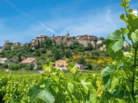 Grüne Weinreben im Vordergrund mit einem Bergdorf im Hintergrund unter blauem Himmel. Sonnenblumenfelder zwischen Weinberg und Dorf sichtbar.
