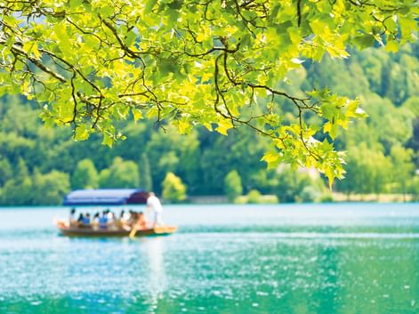 Touristenboot auf türkisfarbenem See in Slowenien, eingerahmt von hellgrünen Eichenblättern. Bewaldete Hügel im Hintergrund.