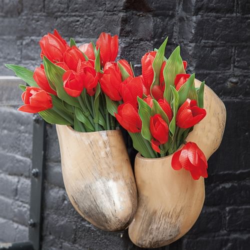 Rote Tulpen in 