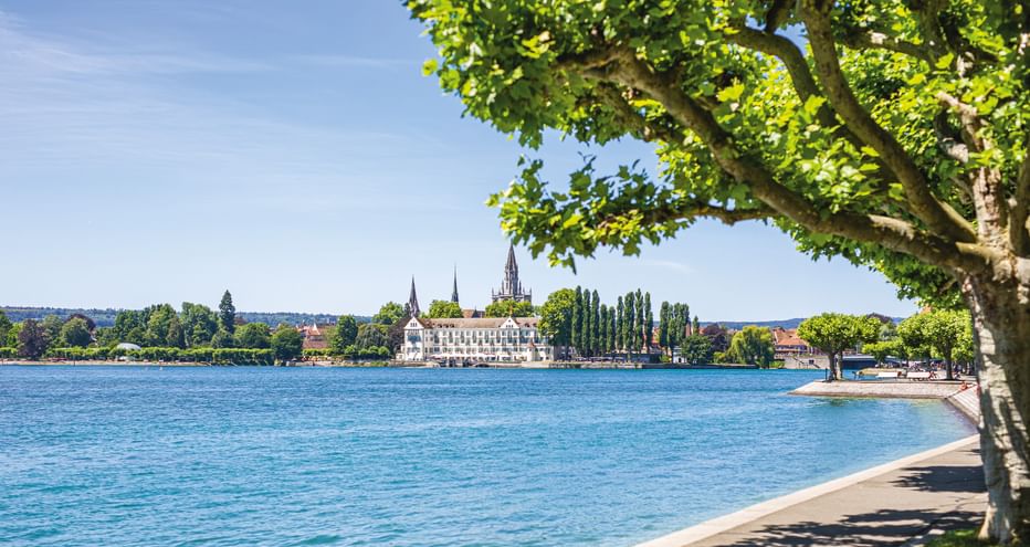 Sonnige Uferpromenade am Bodensee mit blauem Wasser, von Bäumen gesäumtem Weg und historischen Gebäuden am gegenüberliegenden Ufer.