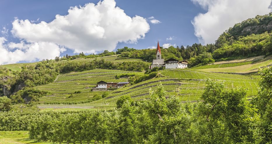 Weiße Kirche mit rotem Kirchturm inmitten terrassierter Weinberge auf sanften Hügeln in Südtirol unter blauem Himmel mit weißen Wolken.