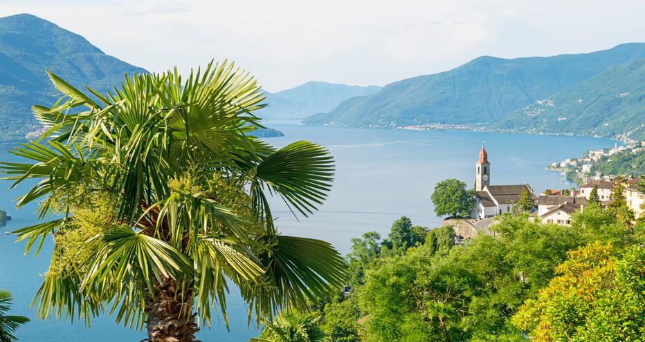 Malerischer Blick auf den Lago Maggiore mit Palmen im Vordergrund, Seeufer-Dorf mit Kirchturm und Bergen im Hintergrund unter bewölktem Himmel.