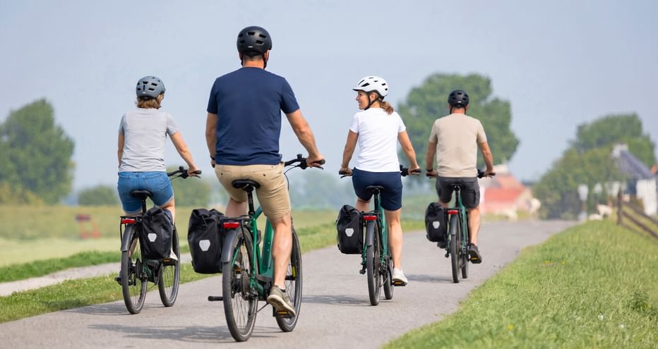 Vier Radfahrer mit Packtaschen auf einem asphaltierten Radweg durch die flache friesische Landschaft mit grünen Feldern und Bäumen.