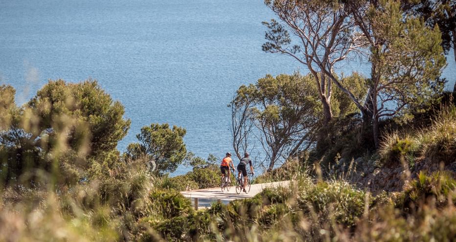 Two cyclists riding on a coastal road in Mallorca, surrounded by Mediterranean vegetation with blue sea in the background.